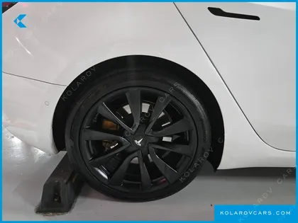 TESLA MODEL 3 PERFORMANCE AWD