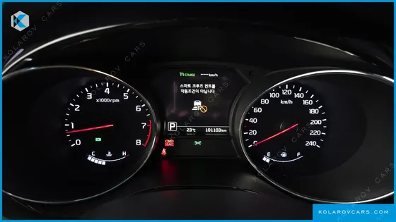 KIA CARNIVAL GASOLINE 9-SEATER HI-LIMOUSINE