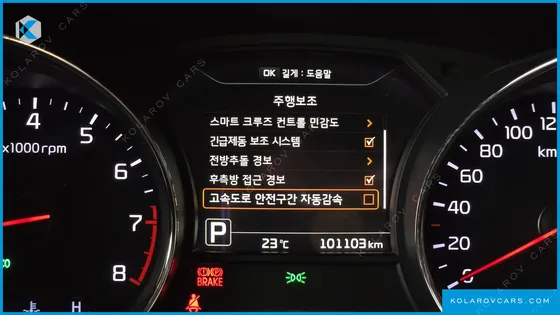 KIA CARNIVAL GASOLINE 9-SEATER HI-LIMOUSINE