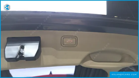 KIA CARNIVAL GASOLINE 9-SEATER HI-LIMOUSINE
