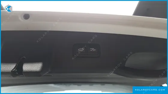 KIA CARNIVAL 9-SEATER SIGNATURE