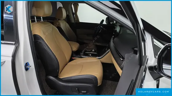 KIA CARNIVAL GASOLINE 9-SEATER NOBLESSE