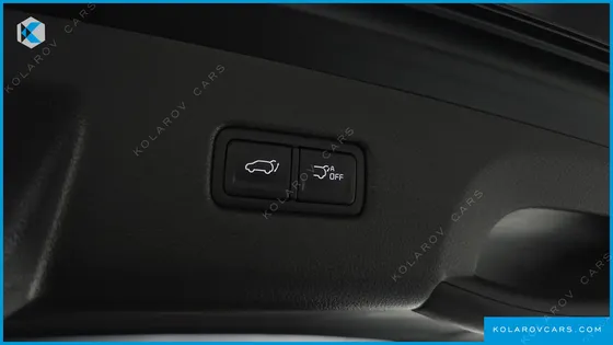KIA CARNIVAL 11-SEATER SIGNATURE
