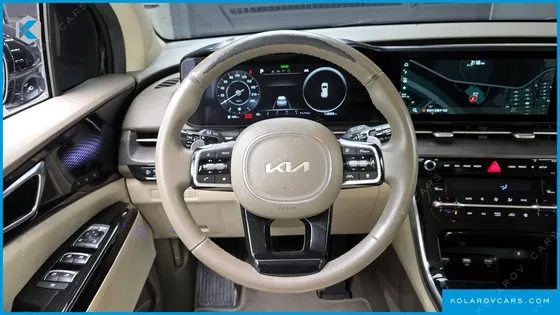 KIA CARNIVAL GASOLINE 7-SEATER LIMOUSINE(SPECIAL VEHICLE)