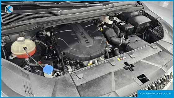KIA CARNIVAL 9-SEATER SIGNATURE