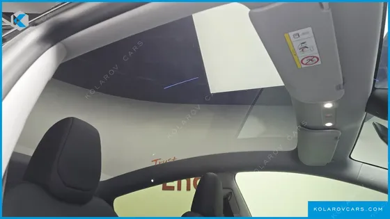 TESLA MODEL Y RWD