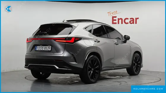 LEXUS NX F-SPORT