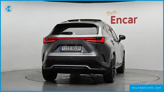 LEXUS NX F-SPORT