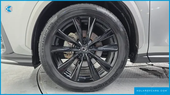 LEXUS NX F-SPORT
