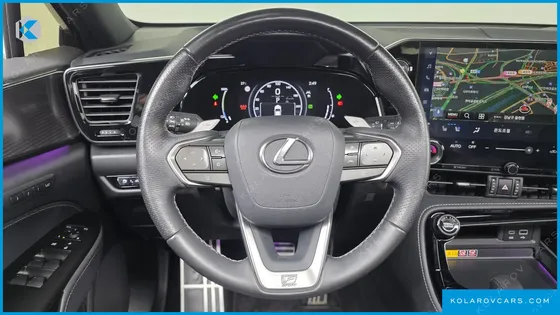 LEXUS NX F-SPORT