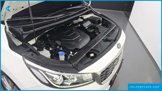KIA CARNIVAL GASOLINE 7-SEATER LIMOUSINE