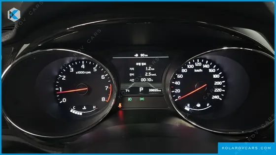 KIA CARNIVAL GASOLINE 7-SEATER LIMOUSINE