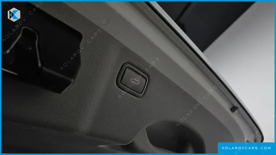 KIA CARNIVAL GASOLINE 7-SEATER LIMOUSINE
