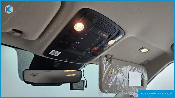 KIA CARNIVAL GASOLINE 9-SEATER NOBLESSE