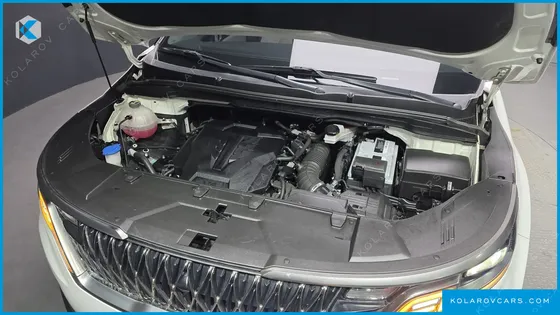KIA CARNIVAL GASOLINE 7-SEATER NOBLESSE