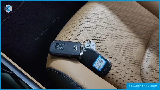 KIA CARNIVAL GASOLINE 9-SEATER SIGNATURE