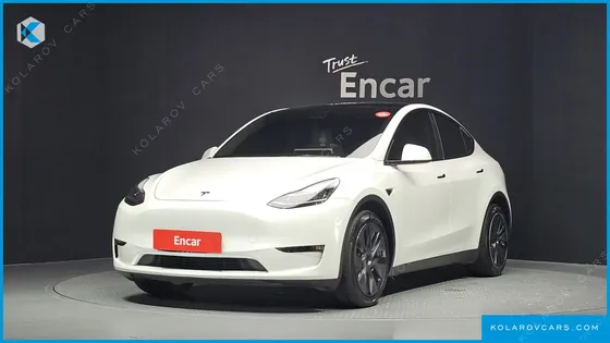 TESLA MODEL Y LONG RANGE AWD