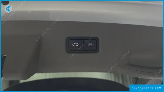 KIA CARNIVAL HEV 9SEATER SIGNATURE