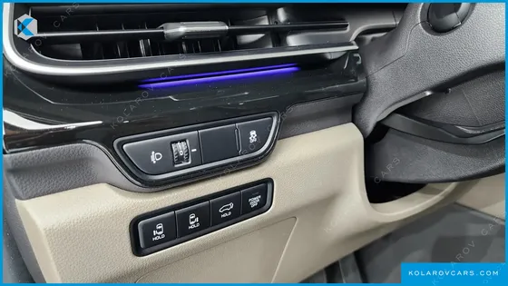 KIA CARNIVAL GASOLINE 9-SEATER SIGNATURE