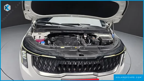 KIA CARNIVAL GASOLINE 9-SEATER NOBLESSE