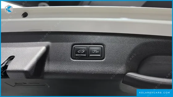 KIA CARNIVAL GASOLINE 9-SEATER NOBLESSE