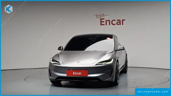 TESLA MODEL 3 PERFORMANCE AWD