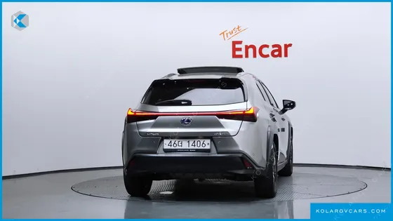 LEXUS UX 2.0 2WD