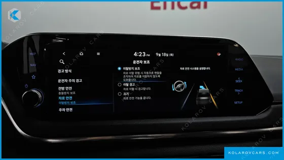 HYUNDAI SONATA 2.0 LPG(RENTAL CAR)