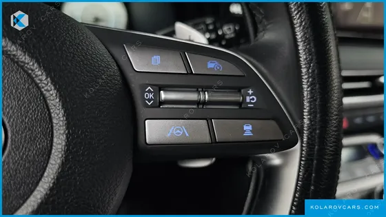 HYUNDAI PALISADE DIESEL 2.2 2WD