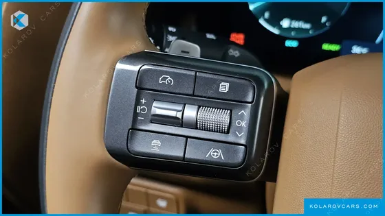 HYUNDAI PALISADE HEV 2.5T 4WD 9-SEATER