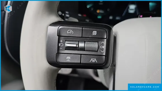 HYUNDAI PALISADE GASOLINE 2.5T 2WD 9-SEATER