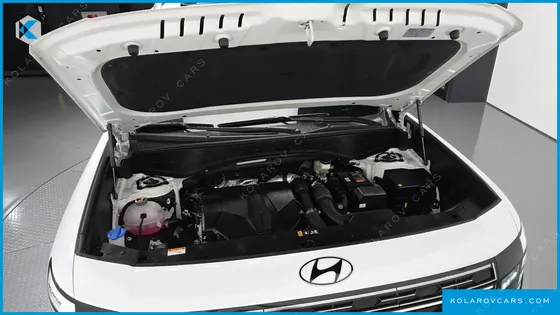HYUNDAI PALISADE GASOLINE 2.5T 2WD 9-SEATER