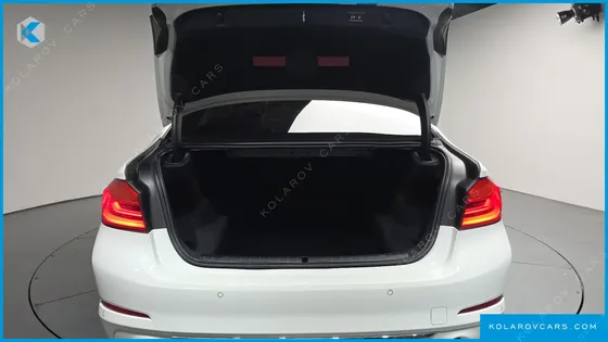 BMW 5 SERIES 520I LUXURY