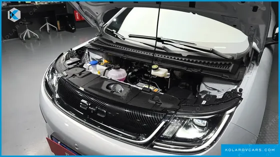 BYD DOLPHIN BASE