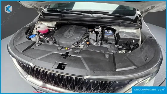 KIA CARNIVAL 9-SEATER NOBLESSE
