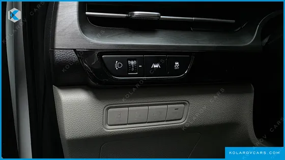 KIA CARNIVAL 9-SEATER NOBLESSE