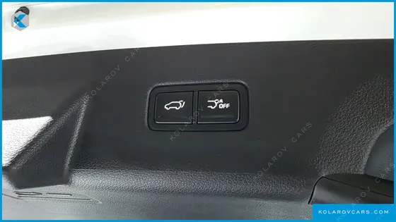KIA CARNIVAL 9-SEATER NOBLESSE
