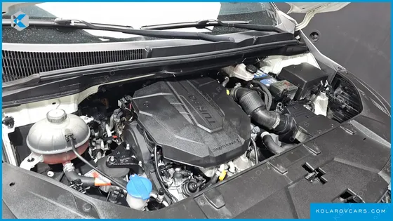 KIA CARNIVAL 7-SEATER HI-LIMOUSINE