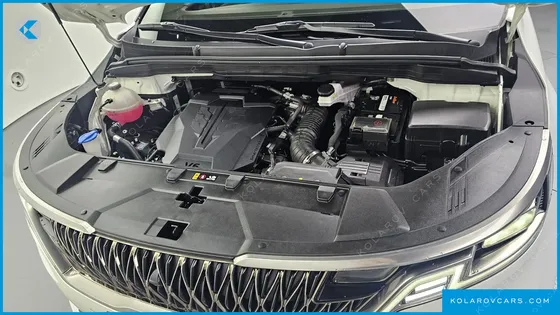 KIA CARNIVAL GASOLINE 4-SEATER HI-LIMOUSINE