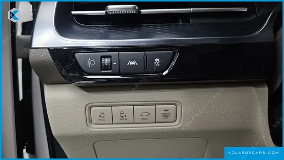 KIA CARNIVAL GASOLINE 4-SEATER HI-LIMOUSINE