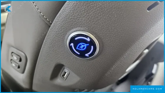 KIA CARNIVAL GASOLINE 4-SEATER HI-LIMOUSINE