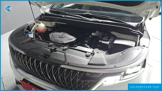 KIA CARNIVAL 9-SEATER PRESTIGE