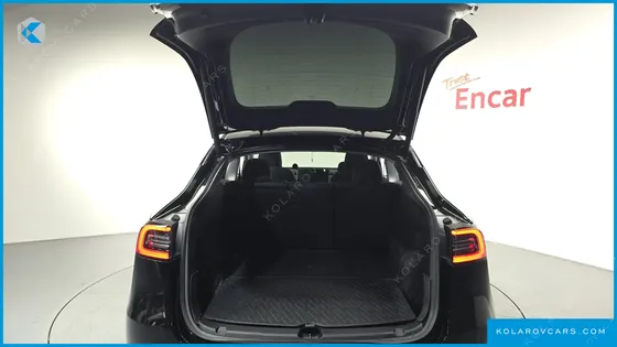 TESLA MODEL Y STANDARD RANGE RWD