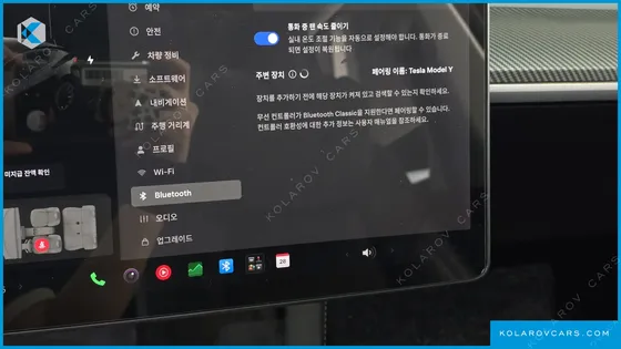 TESLA MODEL Y STANDARD RANGE RWD