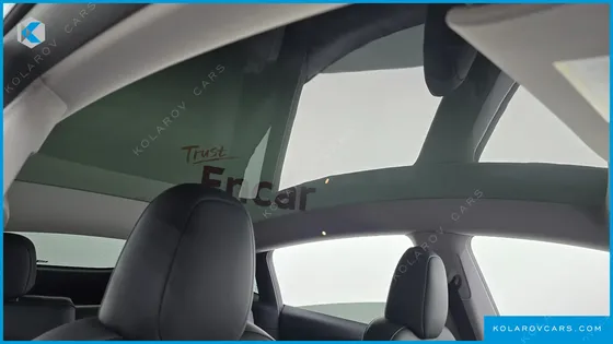 TESLA MODEL Y RWD