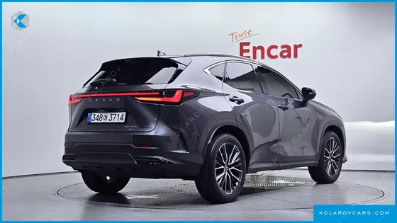 LEXUS NX LUXURY