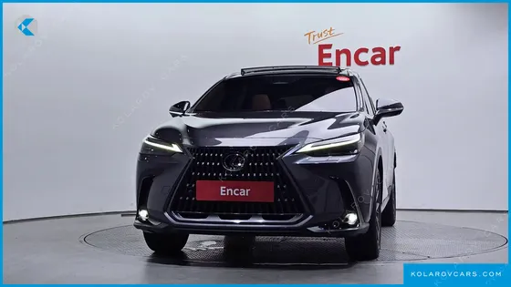 LEXUS NX LUXURY