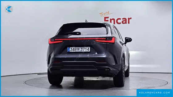 LEXUS NX LUXURY