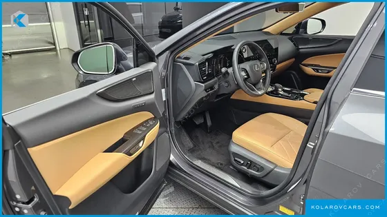 LEXUS NX LUXURY