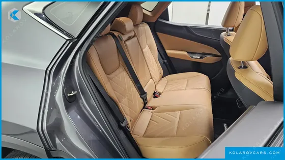 LEXUS NX LUXURY